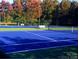 Vibrant blue tennis court with benches and a net, surrounded by trees and greenery at 2665 Grantham Place Dr, Fort Mill, SC 29715