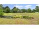 Well-manicured front yard with charming landscaping and a touch of natural elegance at 2906 Chapman Cir, Rock Hill, SC 29732