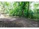 Large backyard area with trees and fence, perfect for outdoor activities and relaxation at 3316 Fairhaven Rd, Rock Hill, SC 29732