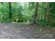 Backyard area featuring some free-range chickens, providing a rustic and natural outdoor setting at 3316 Fairhaven Rd, Rock Hill, SC 29732