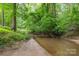 Secluded creek offering a serene natural setting, surrounded by lush greenery and mature trees at 507 Richards Dr, Shelby, NC 28150
