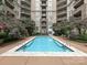 Beautiful courtyard pool surrounded by mature trees, lounge chairs, and elegant balconies at 718 W Trade St, Charlotte, NC 28202