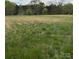 Sprawling property with expansive grassy areas, offering potential for outdoor activities and future development at 208 E Main St, Cleveland, NC 27013