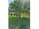 Landscaped yard featuring mature trees and lush greenery, providing a serene outdoor setting at 208 E Main St, Cleveland, NC 27013