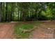 A large section of land with grass, trees, and mulch at 5100 Crestland Ave, Charlotte, NC 28269