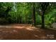 A large section of land surrounded by trees and greenery at 5100 Crestland Ave, Charlotte, NC 28269