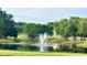 Scenic pond has a fountain surrounded by lush greenery, creating a peaceful and inviting atmosphere at 10008 King George Ln, Waxhaw, NC 28173