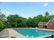 Community pool with lots of lounge chairs and greenery around at 10434 Blackstock Rd, Huntersville, NC 28078