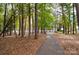 A picturesque walking path winds through trees, perfect for a serene stroll in nature at 46 Timberidge Dr, Lake Wylie, SC 29710