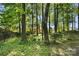 Serene backyard setting with mature trees, lush ground cover, and a stone bench at 4738 Truscott Rd, Charlotte, NC 28226