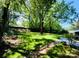 Spacious, grassy backyard with established shade trees at 509 North St, Belmont, NC 28012