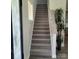 Carpeted staircase leads to the upper level, enhanced by natural light and a decorative potted plant near the hardwood flooring at 5118 Regents Park Dr, Hickory, NC 28602