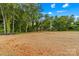 Expansive backyard, surrounded by lush greenery, offering privacy and plenty of space for recreation at 630 W Bell St, Statesville, NC 28677