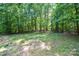 Beautiful wooded backyard featuring mature trees and lush green grass at 7328 S Providence Rd, Waxhaw, NC 28173