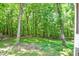 A lush backyard surrounded by vibrant trees creates a serene and private outdoor space at 7328 S Providence Rd, Waxhaw, NC 28173