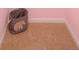 Carpeted walk-in closet with neutral walls, baseboard and plenty of space for storage at 136 Mary Locke Way, Statesville, NC 28677