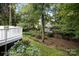 Lush backyard with vibrant hydrangeas and a view of the deck, offering a serene outdoor setting at 20107 N Cove Rd, Cornelius, NC 28031