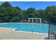 Community pool surrounded by a generous sun deck with lounge chairs and mature landscaping at 20107 N Cove Rd, Cornelius, NC 28031