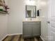 Bathroom with gray vanity, mirror, and wood-look floors, offering a clean and modern design at 3224 Dunbar Ln, Fort Mill, SC 29707