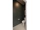 Bathroom showcasing a modern toilet and dark accent wall at 4245 Millstream Rd, Denver, NC 28037