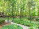 Manicured backyard featuring black metal fence and pathway through the landscape at 5417 Bedfordshire Ave, Harrisburg, NC 28075