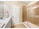 Clean bathroom with updated shower, white door, and vanity sink at 611 Tee Ridge Ct, Fort Mill, SC 29715