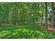 Lush green backyard surrounded by mature trees and a charming split rail fence at 7833 Taymouth Ln, Charlotte, NC 28269