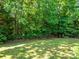 Spacious backyard with lush greenery, mature trees, and a wooden fence creating a private outdoor oasis at 14336 Northridge Dr, Charlotte, NC 28269