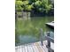 Wooden dock extends into the tranquil water, lush greenery creates a peaceful backdrop, swim ladder included at 26056 Neptunes Lndg, Fort Mill, SC 29708