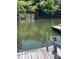 Lakefront property features a private dock with ladder access to the calm, inviting water at 26056 Neptunes Lndg, Fort Mill, SC 29708