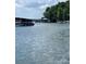Serene lake view showcasing several boat docks, calm waters, and lush greenery in the background under a partly cloudy sky at 26056 Neptunes Lndg, Fort Mill, SC 29708