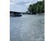 Scenic lake view showcasing boat docks and peaceful surroundings at 26056 Neptunes Lndg, Fort Mill, SC 29708