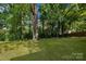 Large, grassy backyard with mature trees, perfect for outdoor activities and relaxation at 3637 Glenville Rd, Charlotte, NC 28215