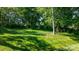 Lush green backyard with mature trees, offering a serene and private outdoor space at 4941 Southview Dr, Hickory, NC 28602