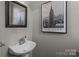 Charming powder room showcasing a pedestal sink and decorative artwork at 16930 Summers Walk Blvd, Davidson, NC 28036