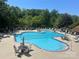 The community pool features lap lanes, sun loungers, umbrellas, and tables, surrounded by mature trees at 2007 Bishops Ct, Cornelius, NC 28031