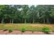 Landscaped backyard featuring a wooded area, gravel area and mature trees at 2763 Rivendale Ct, Indian Land, SC 29707