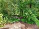 Secluded backyard with a bird bath and a harmonious blend of trees, plants and a serene ambiance at 4951 Dayspring Dr, Mint Hill, NC 28227