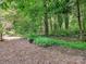 Lush backyard, featuring a serene atmosphere complemented by abundant greenery and natural beauty at 4951 Dayspring Dr, Mint Hill, NC 28227