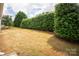 The backyard is fenced and features a well-maintained lawn and mature trees at 6310 Highland Commons Rd, Charlotte, NC 28269