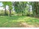 Grassy backyard featuring mature shade trees providing a serene and peaceful setting at 2409 Thornton Rd, Charlotte, NC 28208