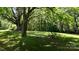 Backyard featuring lush green trees and lawn at 2645 Kool Park Ne Rd, Hickory, NC 28601