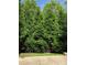 Green backyard with beautiful trees and grass at 6017 Lowergate Dr, Waxhaw, NC 28173