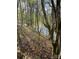 Creek flowing through a serene wooded area at 6017 Lowergate Dr, Waxhaw, NC 28173