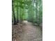 A secluded path through the lush green forest at 6017 Lowergate Dr, Waxhaw, NC 28173
