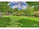 Large, lush green backyard featuring trimmed grass and mature trees around the perimeter at 706 Evans Manor Dr, Weddington, NC 28104