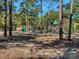 Well-equipped playground nestled among tall trees, offering a variety of play structures for children of all ages at 1227 Seneca Pl, Charlotte, NC 28210