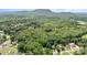 Expansive aerial view of the wooded property with Pilot Mountain in the background at 1318 Candlewood Dr, Gastonia, NC 28052
