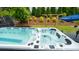 Amazing hot tub in the backyard with a fun swing set and trees in the background at 1620 Callahan Rd, Fort Mill, SC 29715