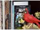 Charming bookshelf with a red cardinal decoration, and books about North Carolina at 501 Pee Dee Ave, Albemarle, NC 28001